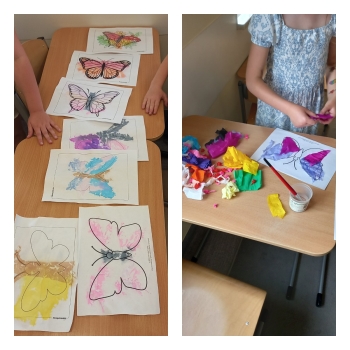 Motyle (1)