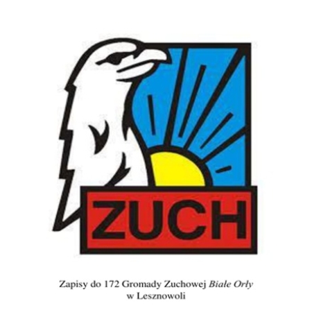 Nabór do gromady zuchowej