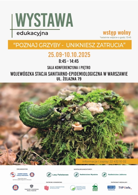Wystawa grzybów